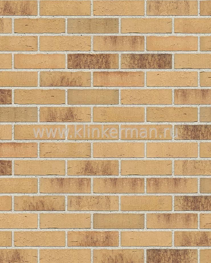 Клинкерный кирпич Feldhaus Klinker K734NF vascu sabiosa ocasa